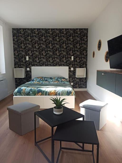 Superbe Appt Avec Cour Et Parking Gratuit A 5Min De La Cite Medievale Carcassonne Zewnętrze zdjęcie